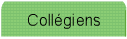 Collgiens